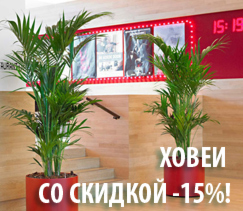 Ховеи со скидкой