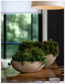 Polystone Rock Boat & Bowl