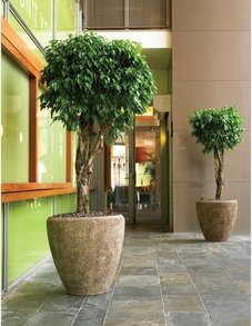 Polystone Rock Couple