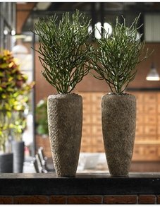 Polystone Rock Partner
