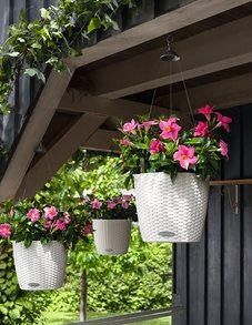 LECHUZA NIDO Cottage (Нидо Коттедж)