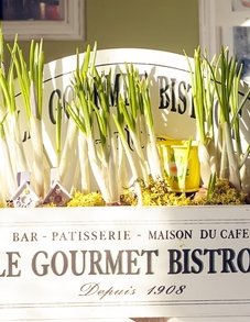 Bistro