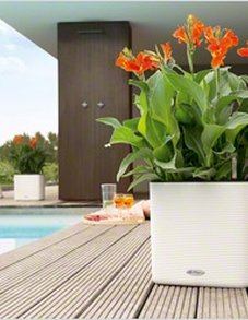 CUBE LS Color 35