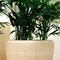 Polystone Couple кашпо, горшки из натурального материала 9