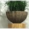 Polystone Rock Boat & Bowl Полистоун кашпо, горшки из натурального материала 3