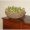 Polystone Rock Boat & Bowl Полистоун кашпо, горшки из натурального материала 8
