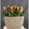 Polystone Rock Oval Полистоун кашпо, горшки из натурального материала 3
