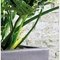 Anthracite Антрацит Кашпо керамические горшки для цветов из керамики 1