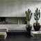 Euphorbia ingens-1