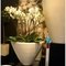 Carrara Couple Carrara Partner кашпо , горшки из натурального материала 5