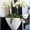 Carrara Couple Carrara Partner кашпо , горшки из натурального материала 7
