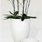 Carrara Couple Carrara Partner кашпо , горшки из натурального материала 12