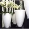 Carrara Couple Carrara Partner кашпо , горшки из натурального материала 14