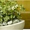 Polystone Boat кашпо, горшки из натурального материала 4