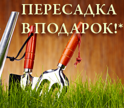 Пересадка в подарок