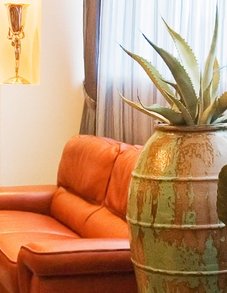 Агава Агава