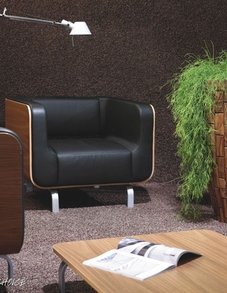 Рипсалис Рипсалис